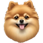 Pomeranian  sticker