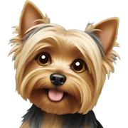 Yorkshire terrier sticker