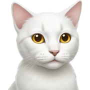white cat sticker