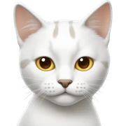 Gato blanca  sticker