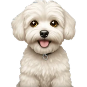 Maltipoo  sticker