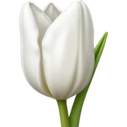 white tulip sticker