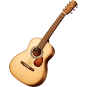 Guitar sticker
