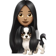 long black hair girl with white long haired Chihuahua. sticker