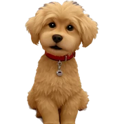 fluffy dog with red collar sticker