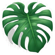 monstera  sticker