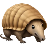 Armadillo  sticker
