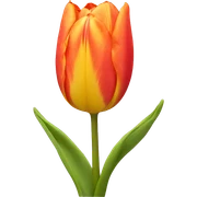 Tulip sticker