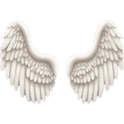 Angel wings sticker