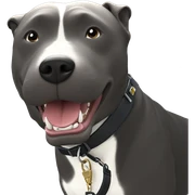 salivating animal with collar sticker