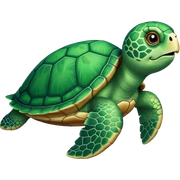 a sea turtle  sticker