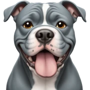 Blue American Bully  sticker