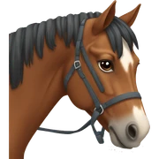 Horse sticker