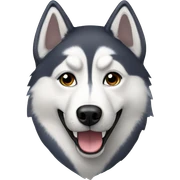 Husky  sticker