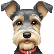Yorky schnauzer mix ￼ sticker