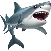 Shark sticker