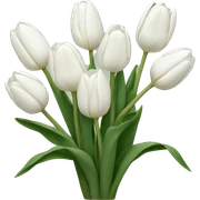 White tulips  sticker