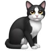 Cat black and white sticker