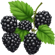 Blackberry  sticker