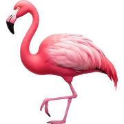 Pink flamingo  sticker