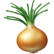 onion sticker