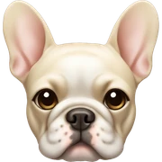 Cream color French bulldog face sticker