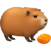 Capybara with orage sticker