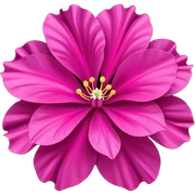 Fuchsia  sticker