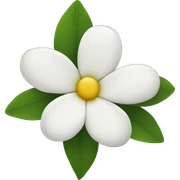 White flowers sticker