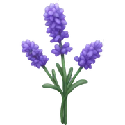 Lavender sticker