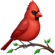 Cardinal sticker