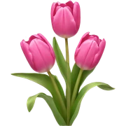 Pink tulips with a bow sticker