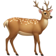 deer sticker