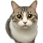 cat sticker