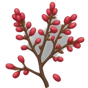 barberry sticker