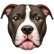 pitbull sticker