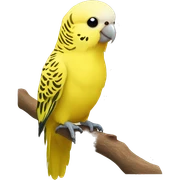 Yellow budgie sticker