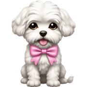 Schichon puppy pink bow  sticker