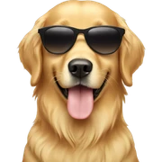 Golden Retriever with sunglasses  sticker