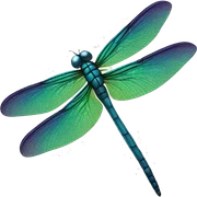 Dragonfly  sticker