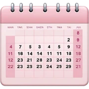 Light pink google calendar sticker