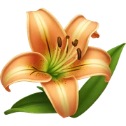 lily sticker