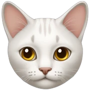 Gatos sticker