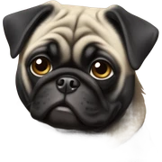 Black pug sticker