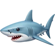 shark sticker