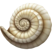 spiral shell sticker
