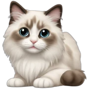 ragdoll kitten sticker