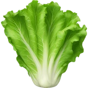 Lettuce sticker