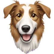 Short hair collie sticker