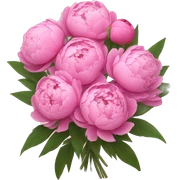 Bouquet of pink peonies sticker